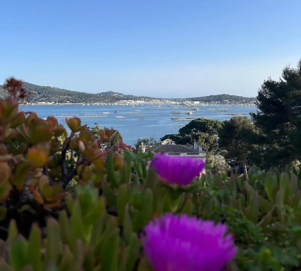 Studio Vue Mer La Seyne-sur-Mer